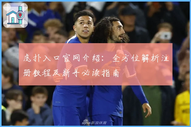 虎扑入口官网介绍：全方位解析注册教程及新手必读指南