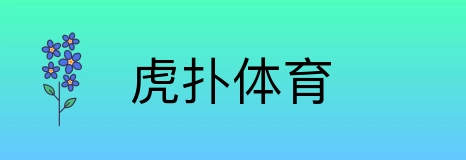 虎扑体育 logo